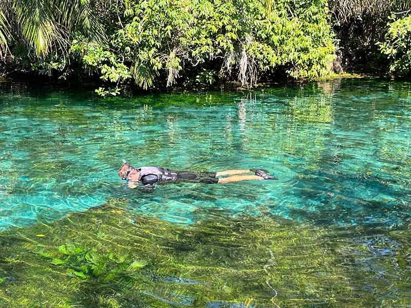 Homem faz flutuação em água esverdeada e cristalina na Nascente Azul, em Bonito, MS