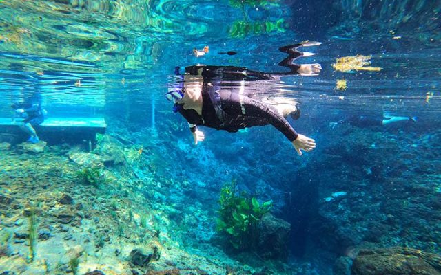 Homem flutua na Nascente Azul, um dos passeios em Bonito, e observa fundo do rio