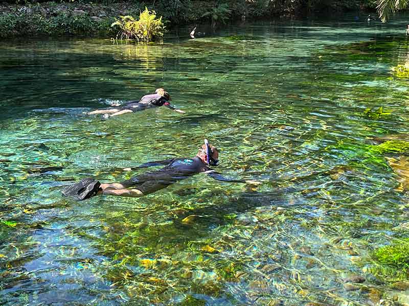 Pessoas fazem flutuação em águas cristalinas da Nascente Azul