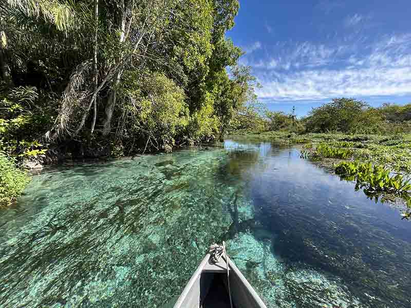 Barco navega no Rio Sucuri com águas cristalinas