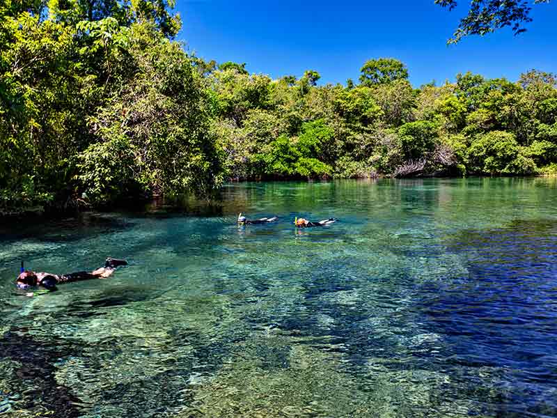 Pessoas fazem flutuação nas águas cristalinas do Rio da Prata, um dos passeios em Bonito, MS