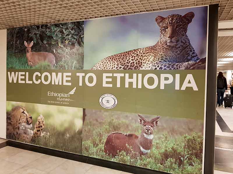 Painel com animais africanos dá boas vindas aos turistas na Etiópia