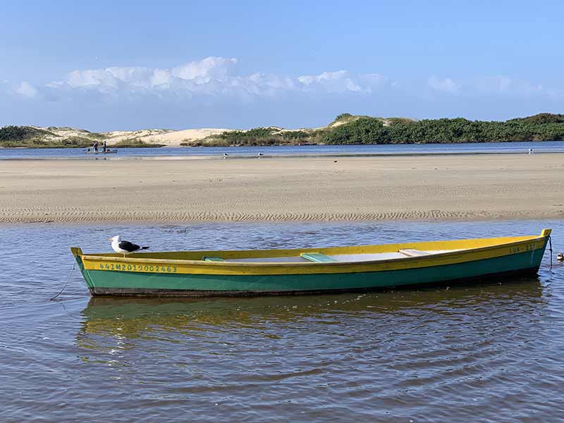 Ave em ponta de canoa na Guarda do Embaú, SC