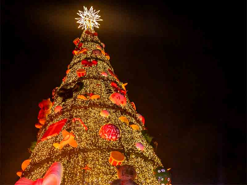 Vista dos detalhes da Árvore de Natal de SP 2022, no Parque Villa Lobos