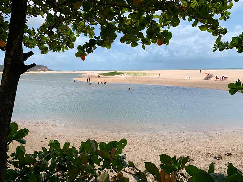 Pessoas se divertem na água na Barra do Gramame, no Conde com árvore em torno da foto