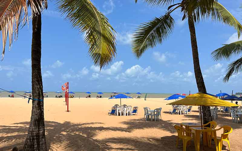 Coqueiros, mesa de plástico e pessoas na praia de Cabo Branco, dica de o que fazer em João Pessoa