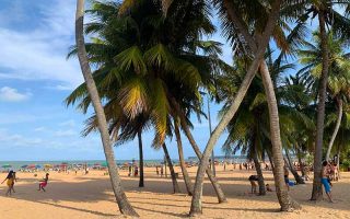 Coqueiros, pessoas e guarda-sóis nas areias de Cabo Branco