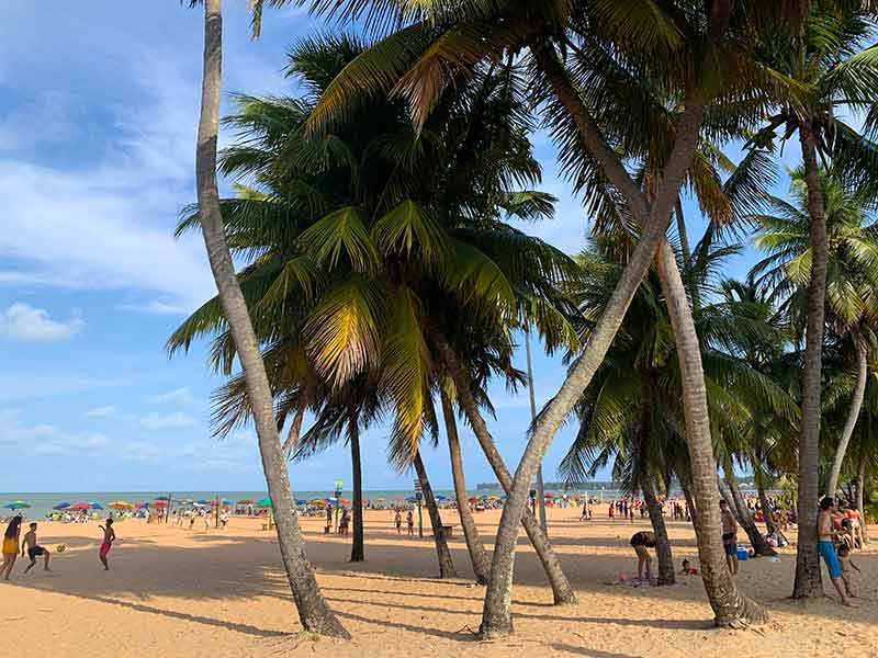 Coqueiros na areia e pessoas em Cabo Branco, uma das melhores praias de João Pessoa