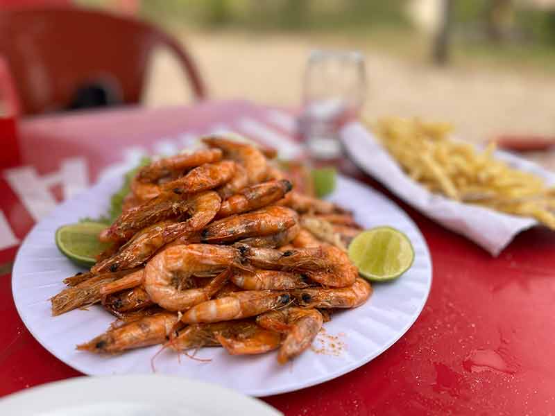 Porção de camarão a alho e óleo com batata frita ao fundo em praia de João Pessoa