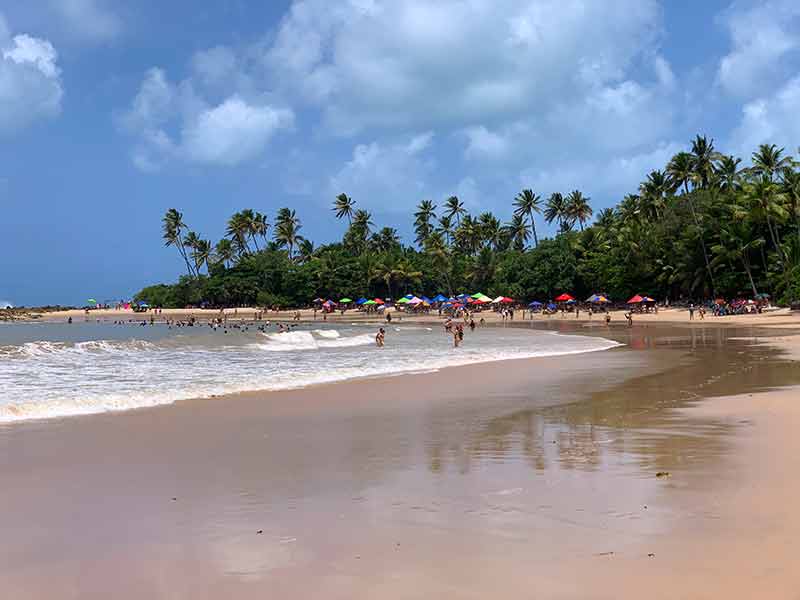 Pessoas tomam banho de mar em dia de céu azul na Praia de Coqueirinho com coqueiros ao fundo