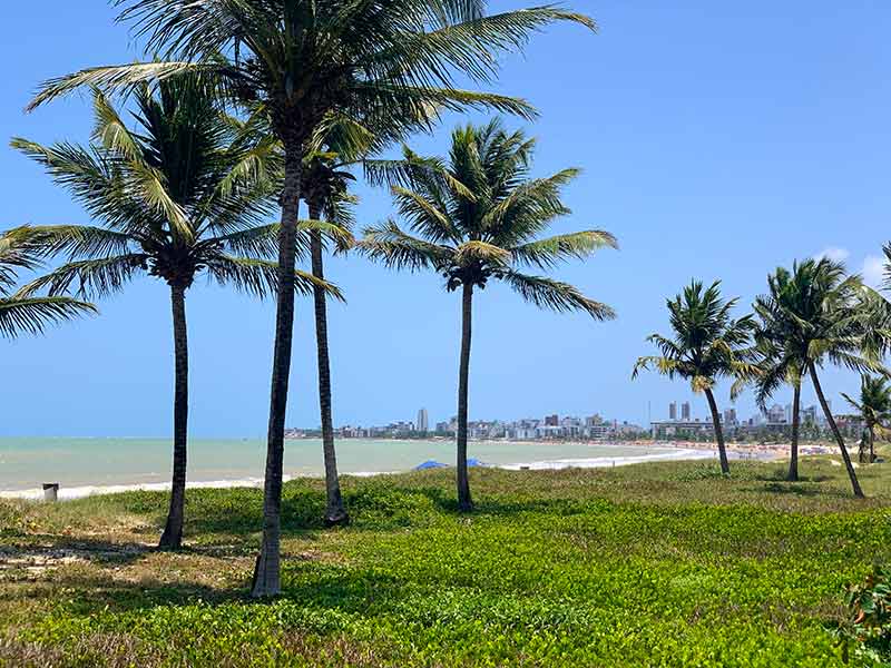 Coqueiros e gramado verde com mar à frente na praia de Intermares, em Cabedelo