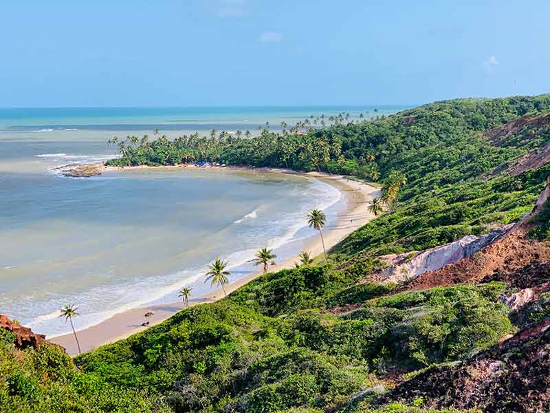 Vista da praia com coqueiros e mar a partir do Mirante Dedo de Deus