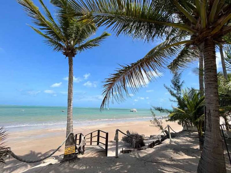 Coqueiros e mar esverdeado da Ponta da Campina, uma das melhores praias de João Pessoa