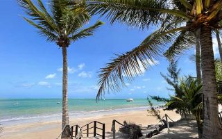 Coqueiros e mar da Praia de Camboinha em Cabedelo, Paraíba