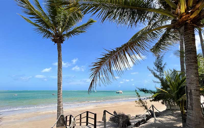 Coqueiros e mar da Praia de Camboinha em Cabedelo, Paraíba