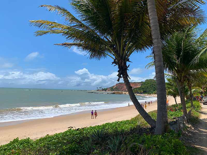 Pessoas caminham na areia com jardim e coqueiros na praia de Tabatinga, dica do que fazer em João Pessoa