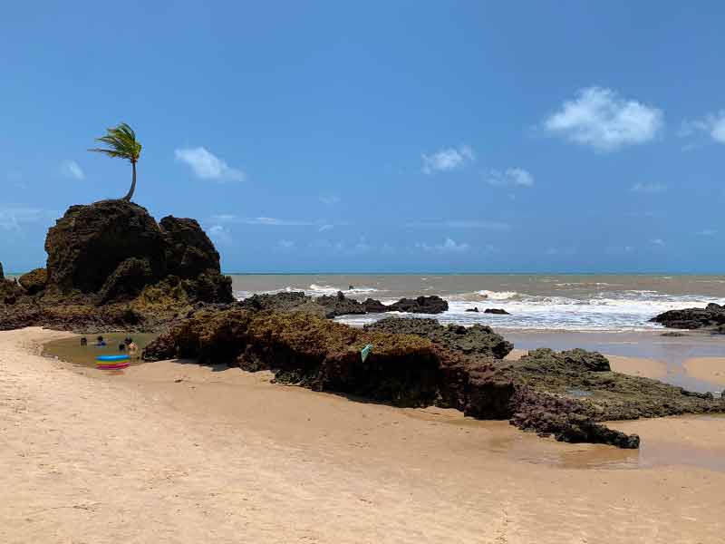 Tambaba vazia com coqueiro em cima de pedra e mar em dia de céu azul