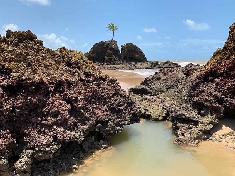 Piscinas naturais formadas entre as pedras em Tambaba, uma das melhores praias de João Pessoa