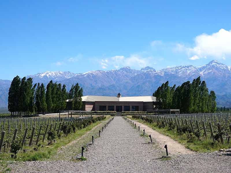 Vinícola de Mendoza, na Argentina, em dia de céu azul com os Andes ao fundo