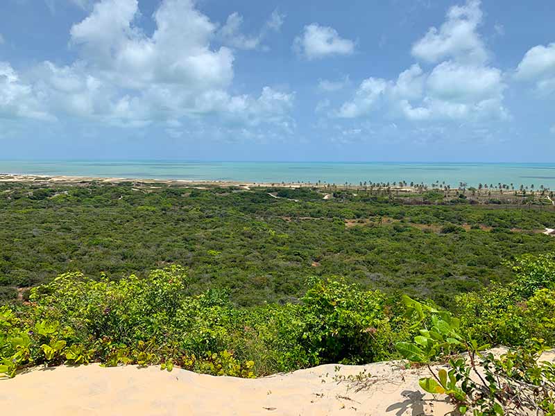 Vista de cima da praia do Pitangui com árvores em dia de céu azul