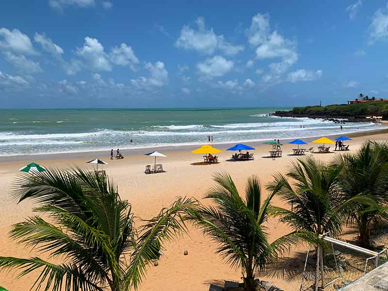 Pequenos coqueiros e pessoas embaixo de guarda-sóis e no mar em Miami, praia de Natal