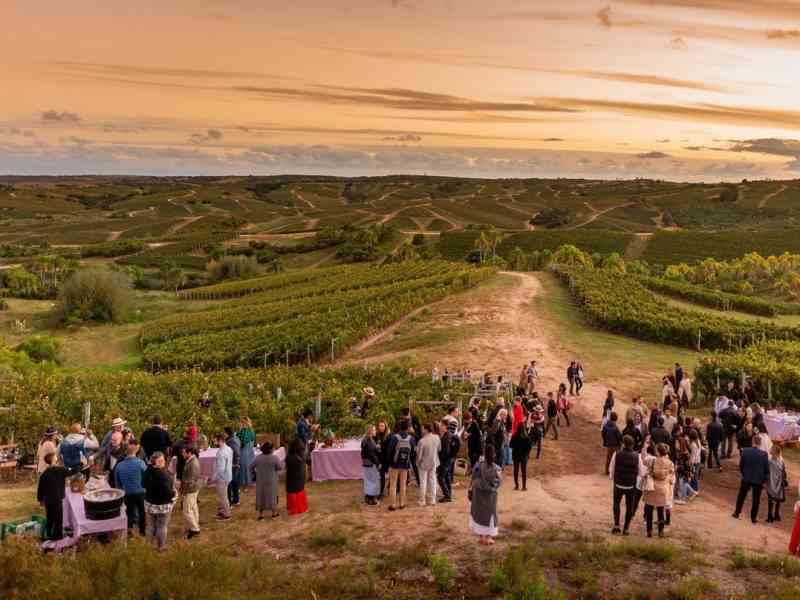 Visitantes no entardecer na Vinícola Garzón, no Uruguai