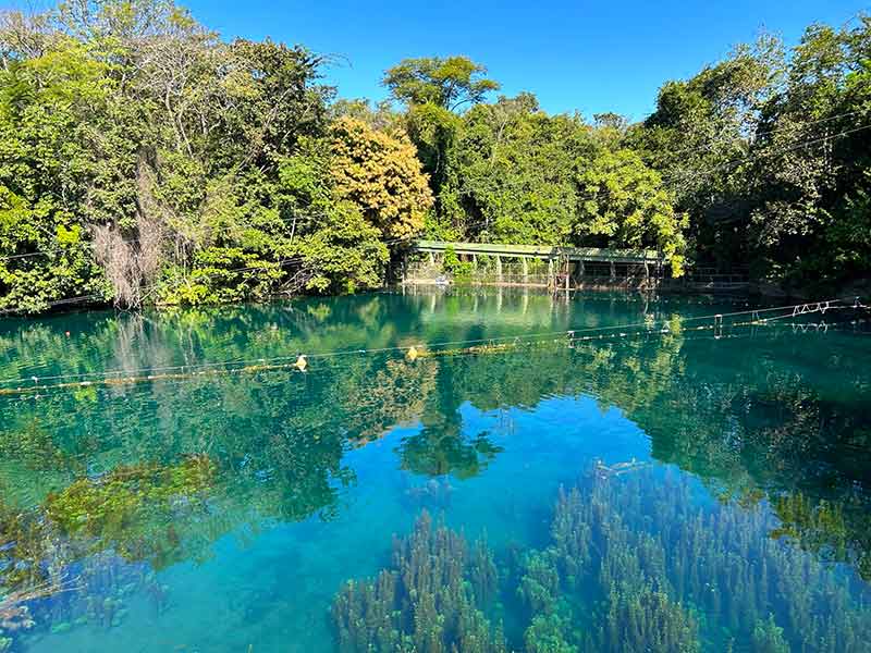 Lago com água cristalina no Hot Park em dia de céu azul e com árvores ao redor