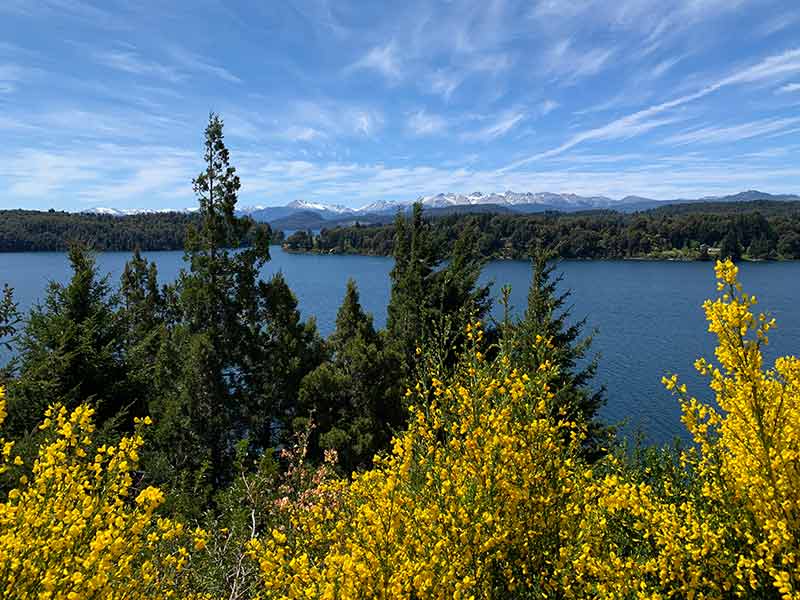 Vista da Cervejaria Patagônia, no Circuito Chico, em Bariloche, com árvores e lago