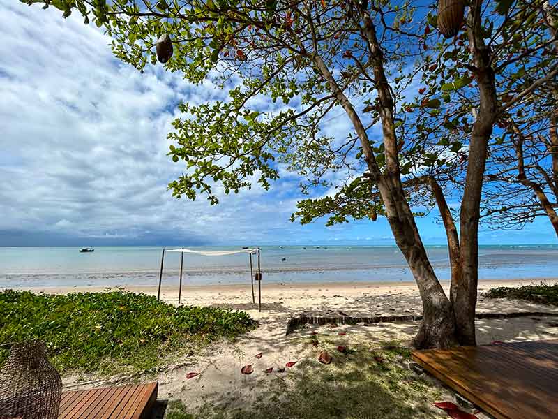 Caminho de areia em meio a um jardim até a Praia Central de Cumuruxatiba