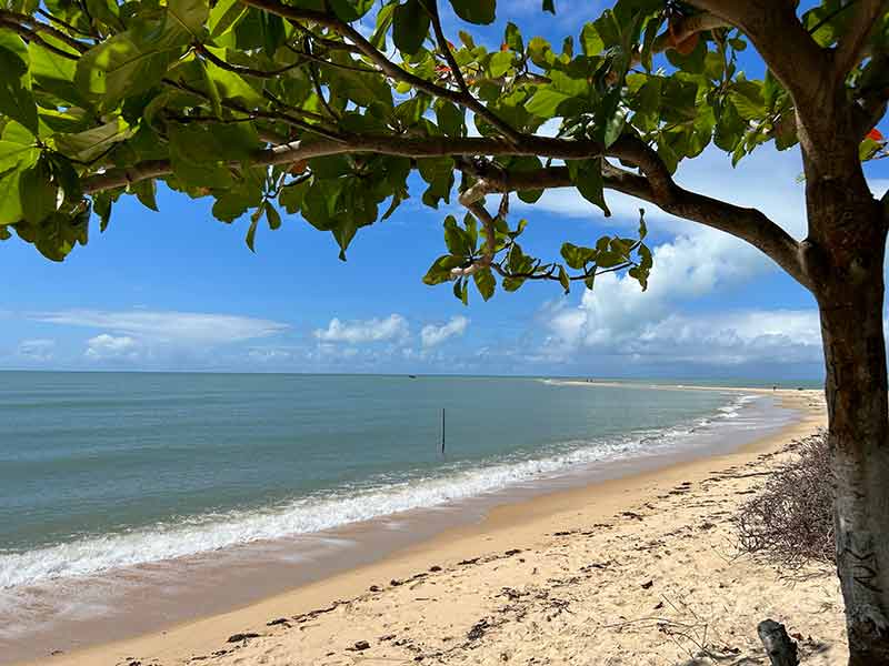 Praia da Ponta do Corumbau vazia com árvore e mar azulado