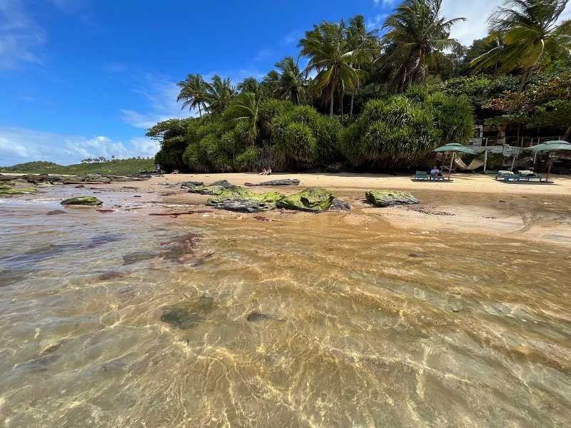 Praia do Satu em Caraíva na maré baixa cercada por coqueiros