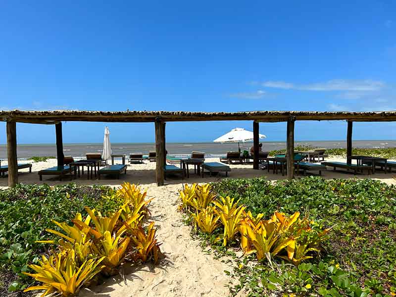 Espreguiçadeiras e guarda-sóis no Maroca, na Praia de Santo Antônio, na Bahia, em dia de céu azul