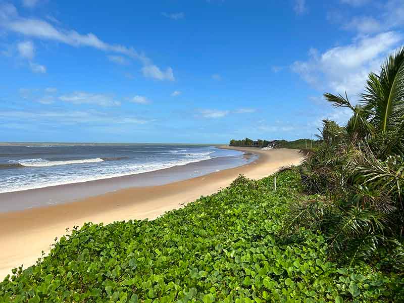 Praia de Mogiquiçaba, na Bahia, vazia com ondas no mar e vegetação verde