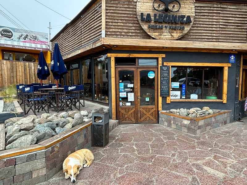 Entrada do restaurante La Lechuza com cachorro deitado à frente e mesas vazias ao ar livre