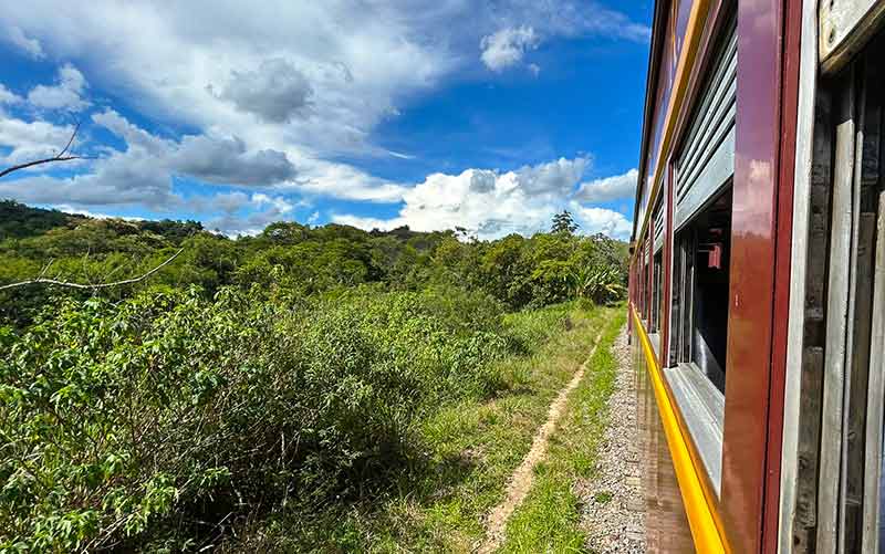 Trem passa por região de mata em São Paulo em dia de céu azul com nuvens