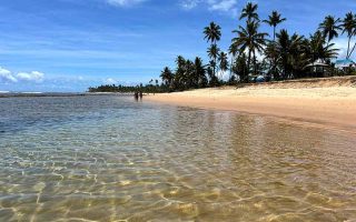 Mar calmo e esverdeado na Praia das Piscinas Naturais, uma das atrações da Praia do Forte, na Bahia
