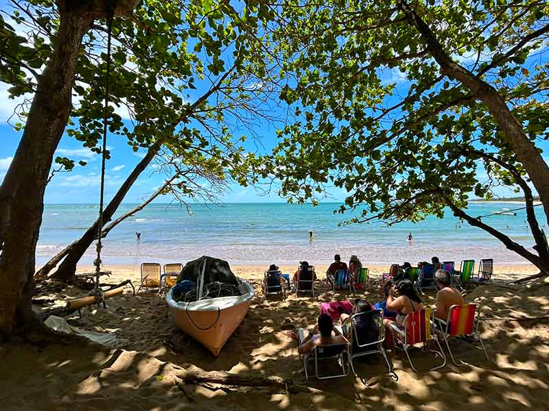 Pessoas sentadas em cadeiras na sombra da árvore na Praia do Tivoli