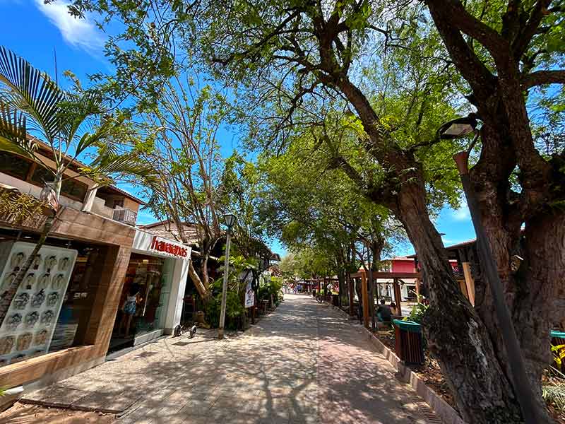 Lojas e restaurantes entre árvores no centrinho da vila da Praia do Forte, na Bahia