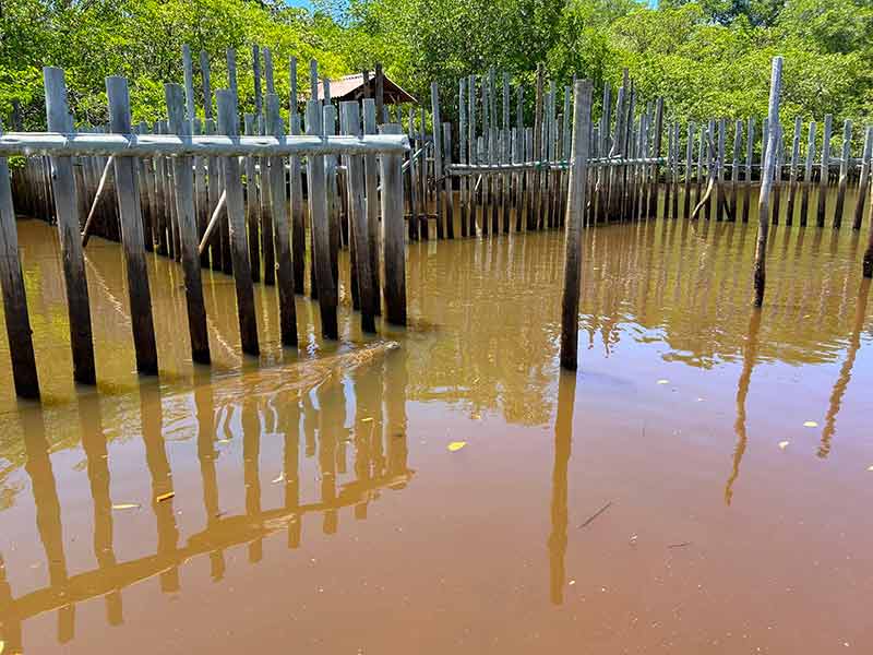 Área de proteção da Associação Peixe-Boi em Porto de Pedras, Alagoas