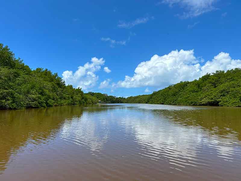 Rio Tatuamunha, local onde fica a Associação Peixe-Boi em Porto de Pedras