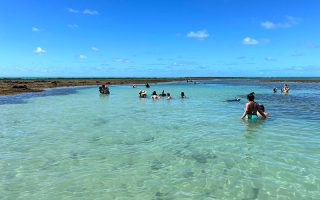 Pessoas se divertem nas piscinas naturais de Japaratinga com águas cristalinas em dia de céu azul