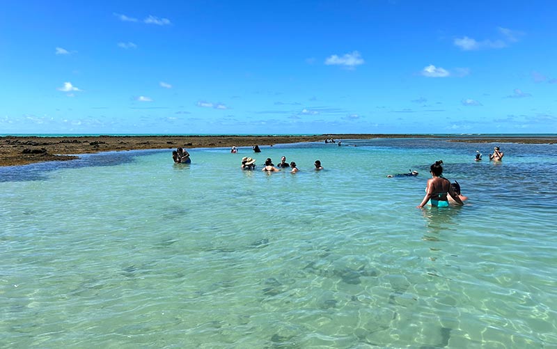 Pessoas se divertem nas piscinas naturais de Japaratinga com águas cristalinas em dia de céu azul