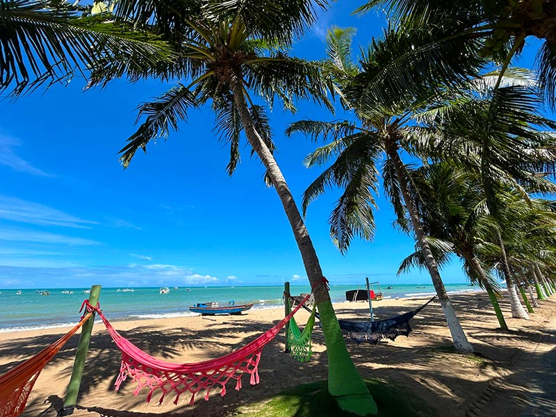 Redes em coqueiros em praia em dia de céu azul em Japaratinga