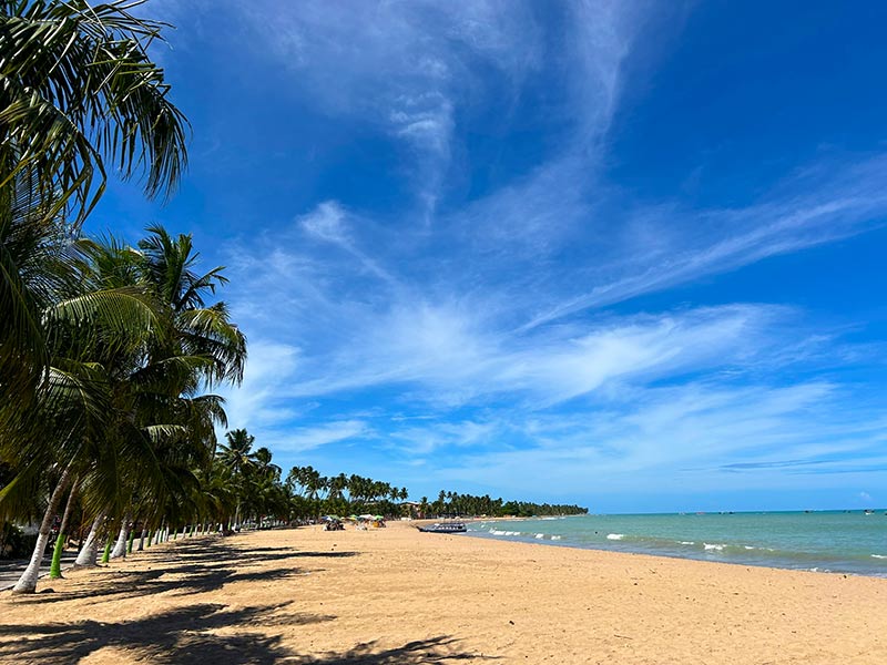 Longa faixa de areia com coqueiros em dia de céu azul na Praia de Japaratinga, em Alagoas