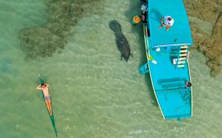 Vista de drone das Piscinas Naturais da Praia de Lages com peixe-boi na água