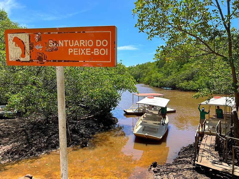 Jangadas no Santuário do Peixe-boi em Porto de Pedras