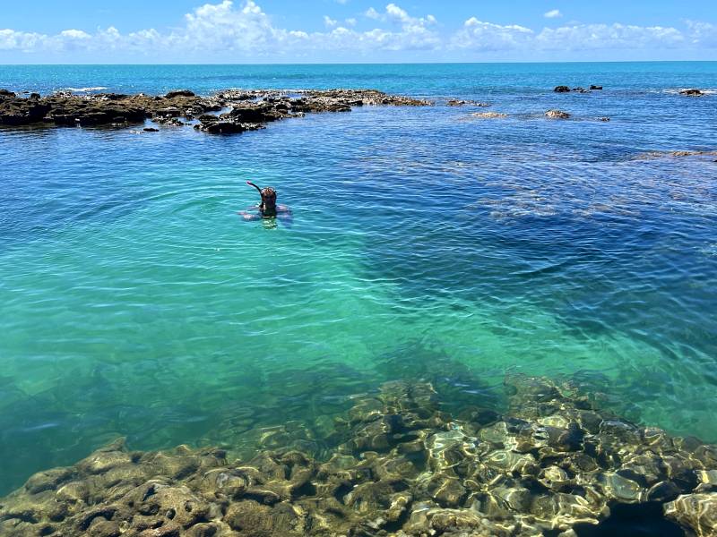 Homem nada nas águas esverdeadas de piscina natural em Maragogi