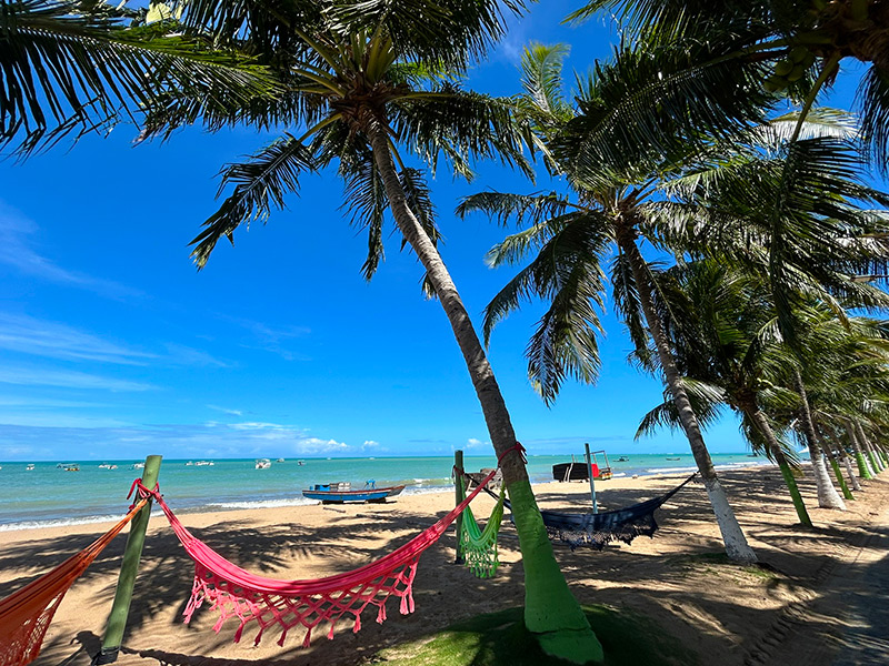 Redes coloridas presas em coqueiros em frente ao mar claro de Japaratinga