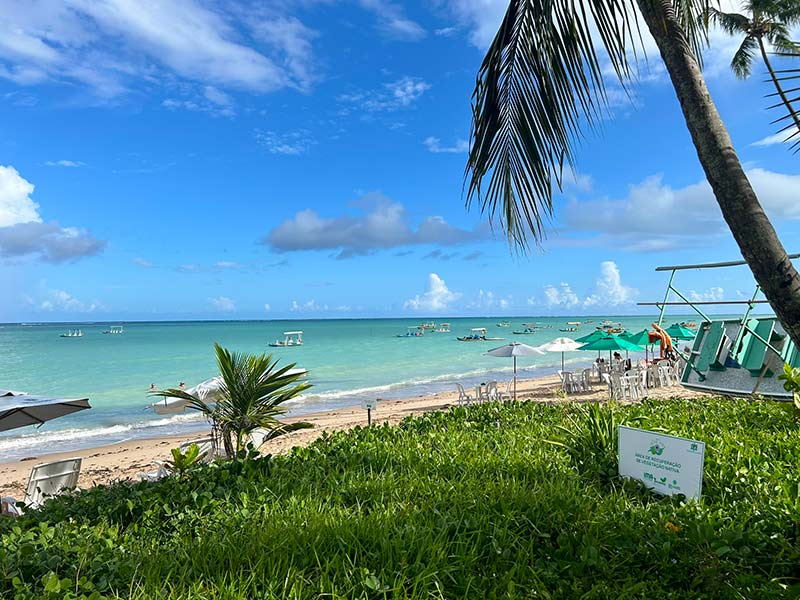 Vista do mar da Praia de Lages com jardim e coqueiros em dia de céu azul