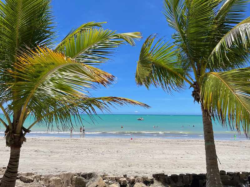 Mar azul de Ipioca visto por trás de coqueiros, uma das melhores praias de Maceió